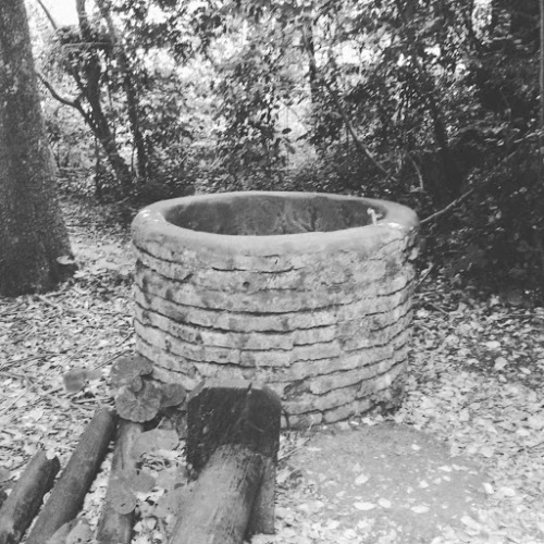 Carlos Gallardo García